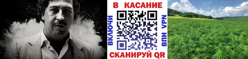 Где купить наркоту Североморск Альфа ПВП  МЕТАМФЕТАМИН  Меф мяу мяу  Галлюциногенные грибы  МАРИХУАНА  Cocaine 
