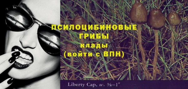 марихуана Новозыбков