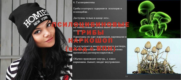 марихуана Новозыбков
