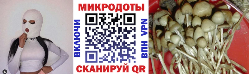 Псилоцибиновые грибы ЛСД Североморск