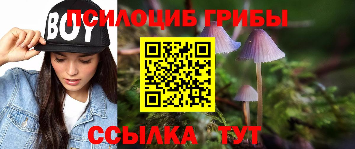 Псилоцибиновые грибы Magic Shrooms  Североморск 